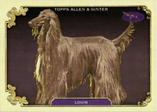Louis - Stars Of The Show SOS-26 - TOPPS Allen & Ginter 2024