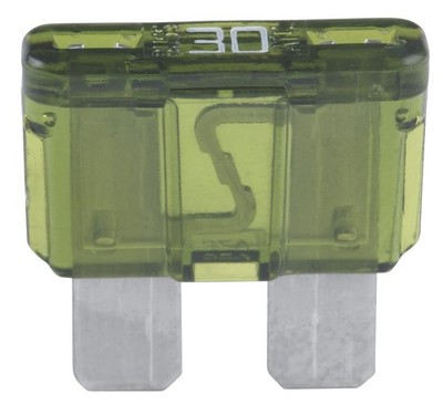 Automotive Fuses 30A 32Vdc 1kA IR Green
