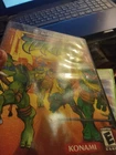 Teenage Mutant Ninja Turtles (Nintendo GameCube, 2003) OOP
