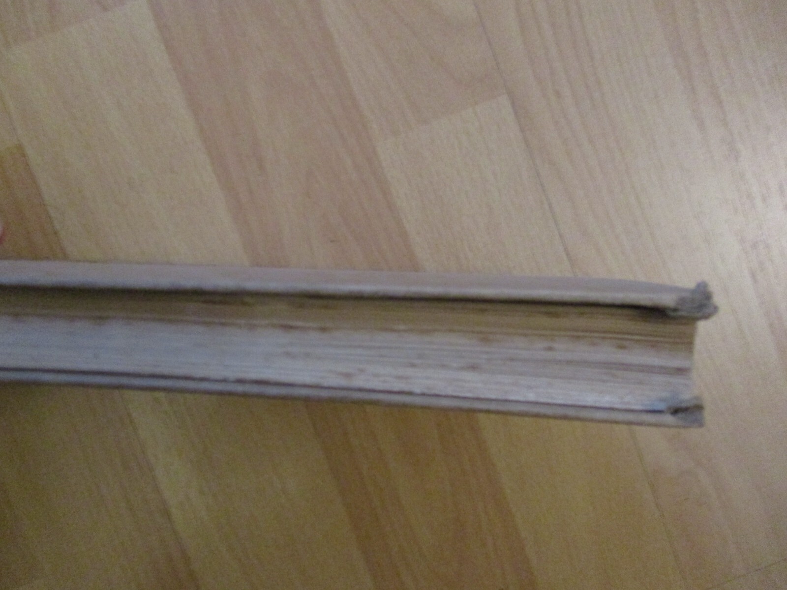 Bild 6 von 6