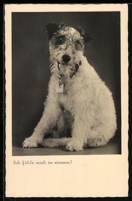 Ansichtskarte Terrier mit hängender Zunge 1935 