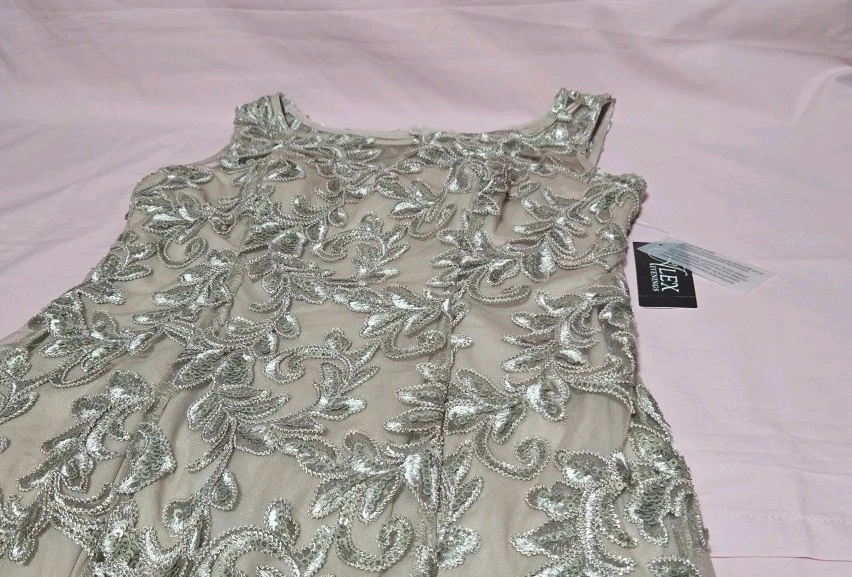 Vestido de Madre de la Novia Alex Evenings, Largo Sin Mangas Talla 6 Pequeño, sin chal. Foto 4 de 4