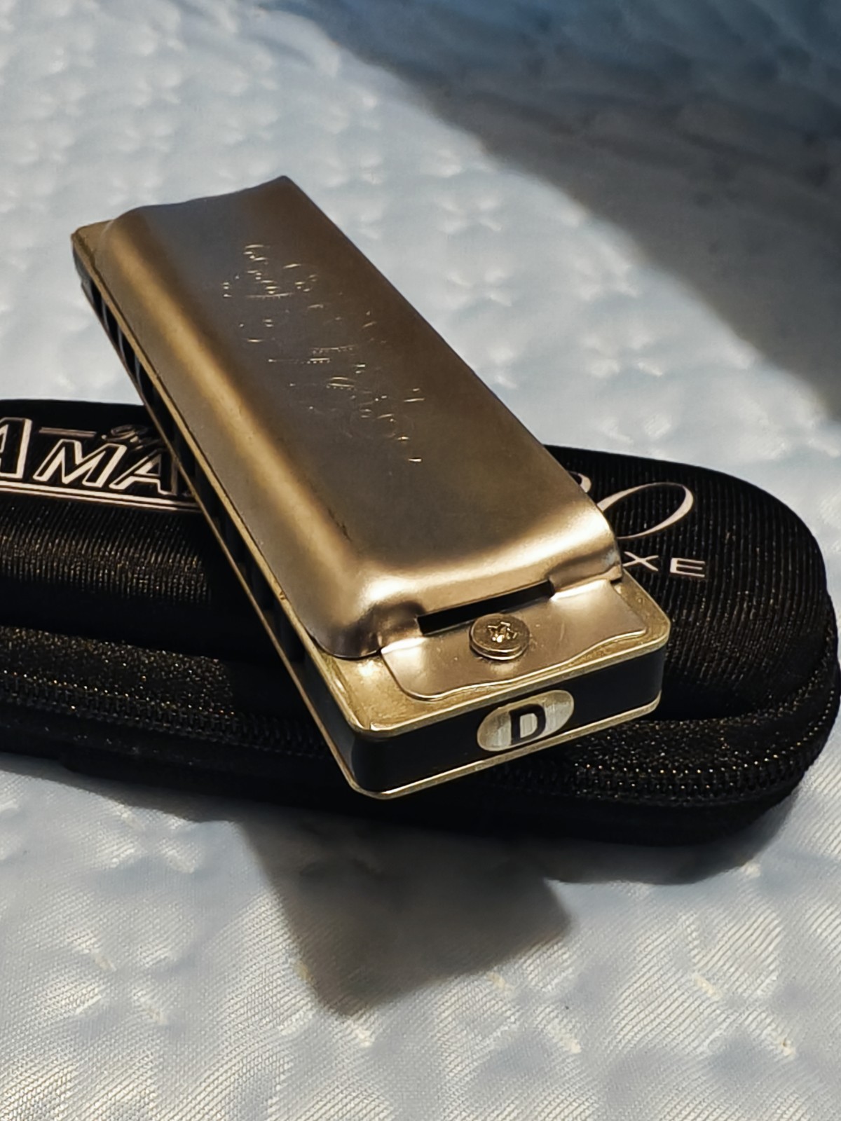 Seydel 1847 NOBLE StainlessSteel Reeds harmonica D key excellent condition