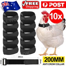 10PCS Anti Crow Collar for Roosters Cockerel No Crow Noise Neck Belt Nylon