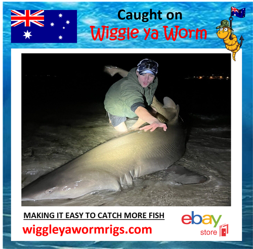 10x 200lb Stainless Steel Wire 1.5m Shark rigs with Bite Zone, 14/0 circle hook - Picture 13 of 20