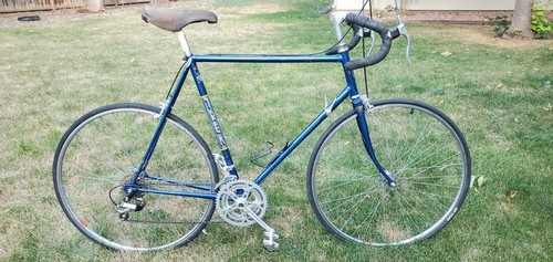 1981 710 Vintage Silver Brazed Trek 