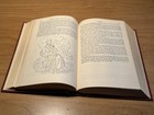 Bild 8 von 10