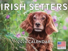 Irish Setter Calendar 2026 Monthly Wall Calender 12 Month Made In The USA