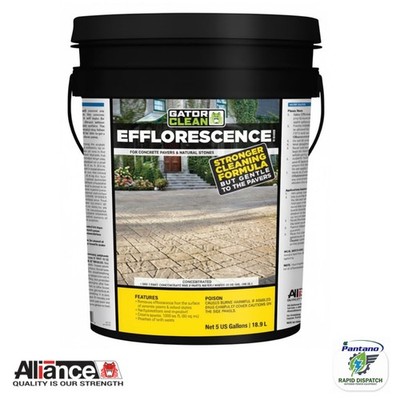 Gator Efflorescence Cleaner for Pavers & Natural Stone | Alliance 5 Gallon