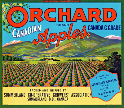 #ad ORCHARD Brand Canadian Apples Original Fruit Crate Label SUMMERLAND B.C $5.00