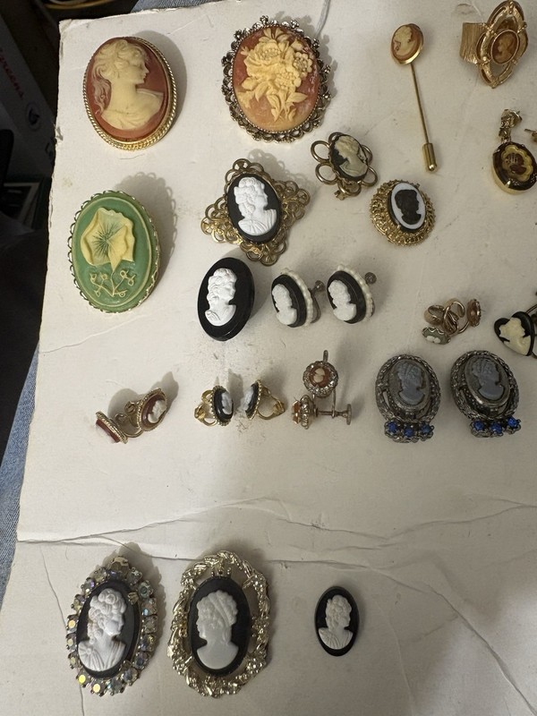 Cameo 8 earings,1 scarf Pin,6 brooches 2 Are Pendants,1 Ring, 2 Necklace,2 Are ?