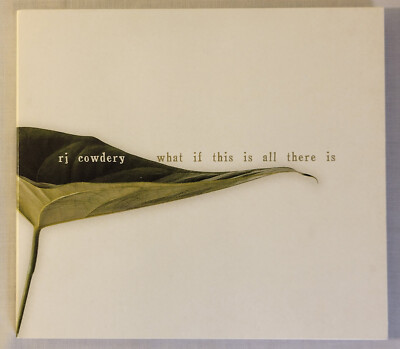 What If This Is All There Is by RJ Cowdery (CD, 2019) folk/Singer-songwriter