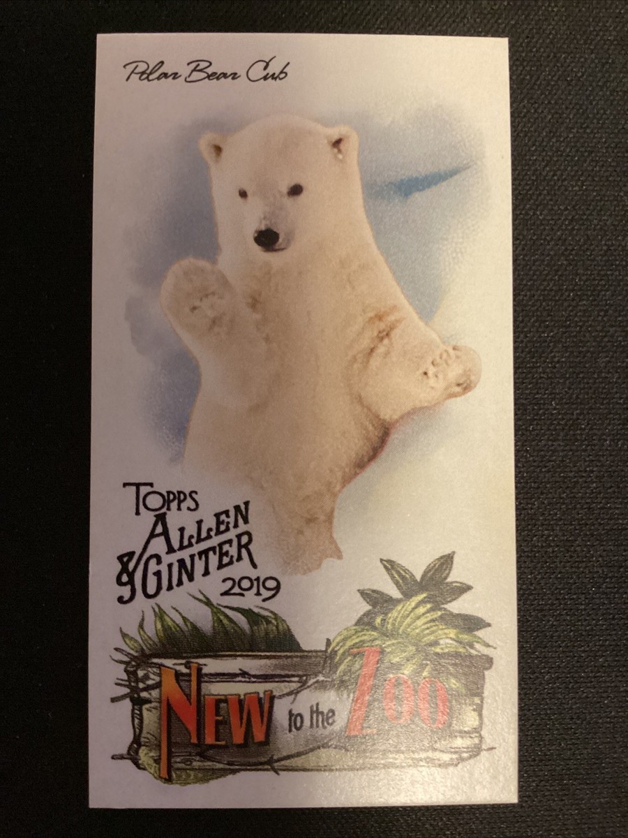 2019 Topps Allen and Ginter Mini New to the Zoo #NTTZ17 Polar Bear