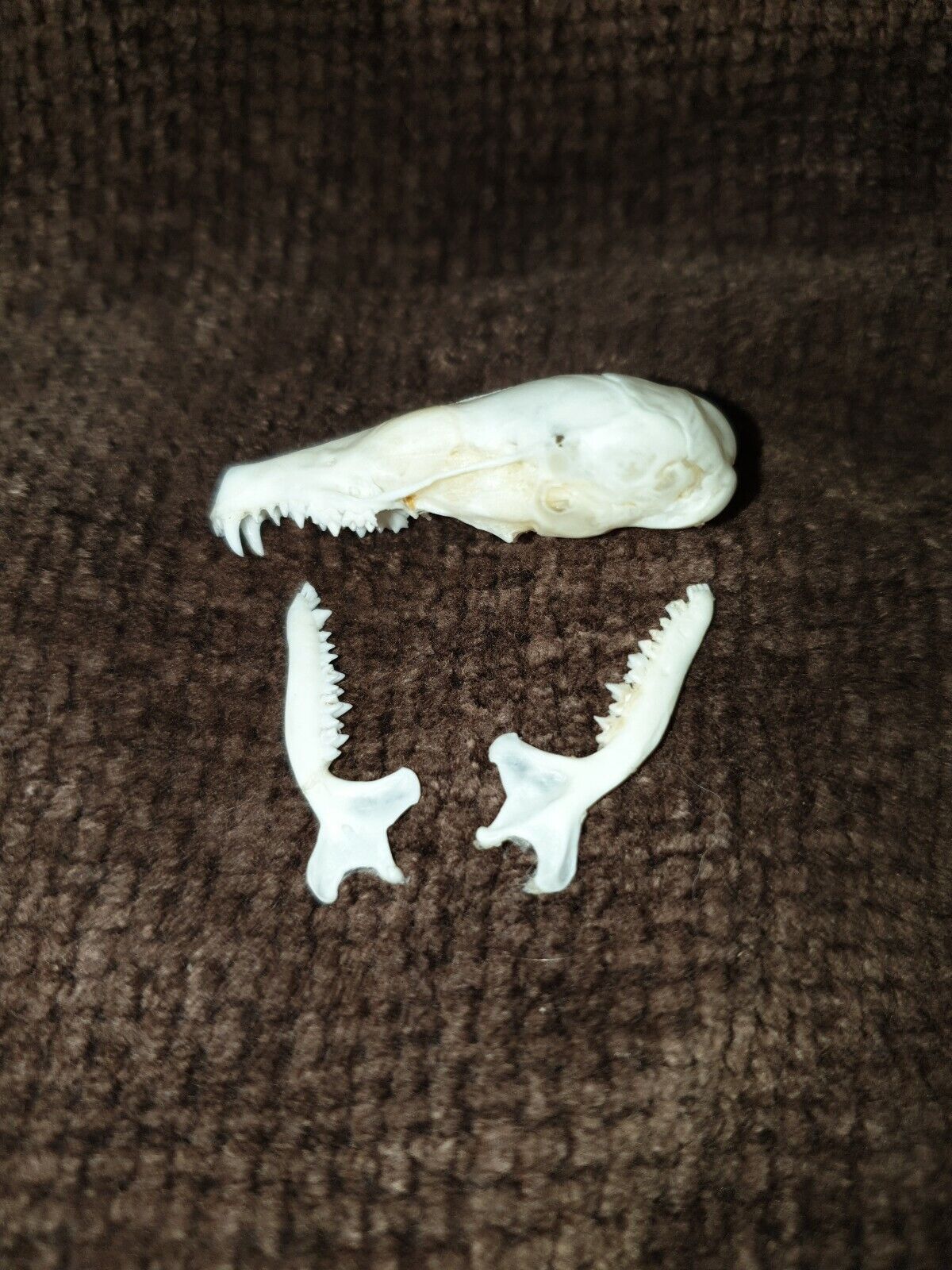 Picture 1 of 3