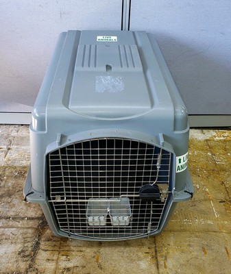 sky kennel ultra dimensions