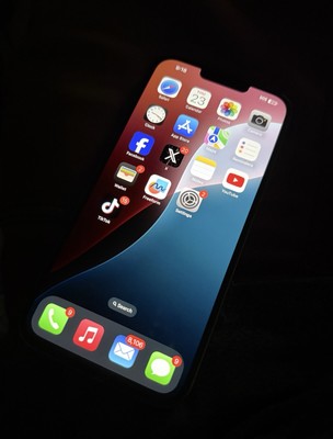 iPhone 13 Pro Max w/ TikTok installed - Unlocked - 256GB. 10/10 Condition 