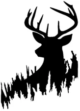 Whitetail Deer Decal - Hunting Truck, Laptop, Bumper Sticker Multiple Sizes
