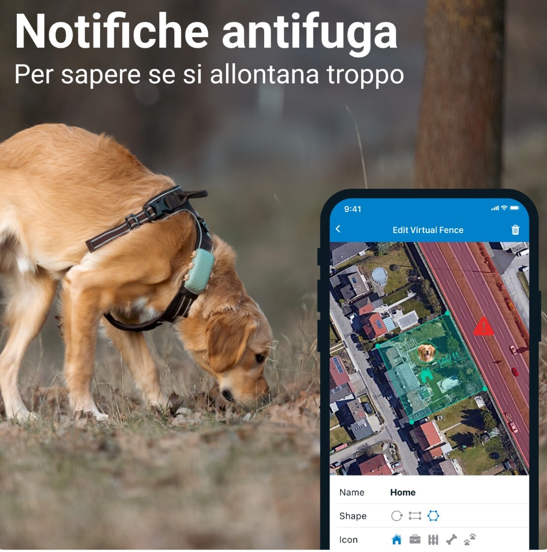 Imagen 4 de 8