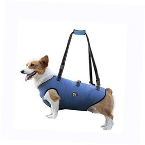 dachshund support sling