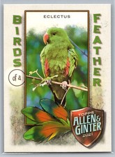 2021 Topps Allen & Ginter #BOF-1 Eclectus Birds of a Feather *ZM