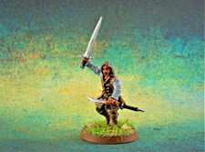 GW Aragorn (on Amon Hen) Figure Painted Lotr The Companions