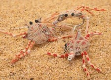 Flexo Crab Fly - Perfect for Permit, Bonefish & Redfish - Tan, Olive or Assorted