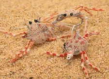 Flexo Crab Fly - Perfect for Permit, Bonefish & Redfish - Tan, Olive or Assorted