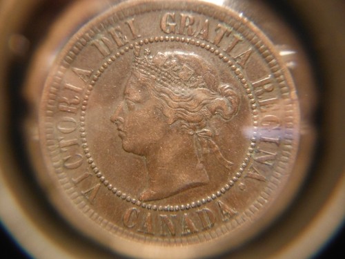 1886 Large One Cent - Obverse # 2 ***** VF - Picture 10 of 14