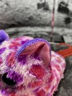Foto 9 di 11