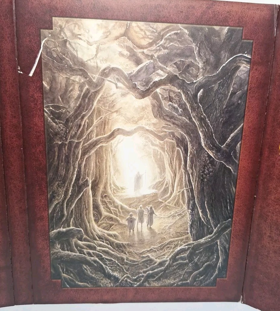 Picture 11 of 12