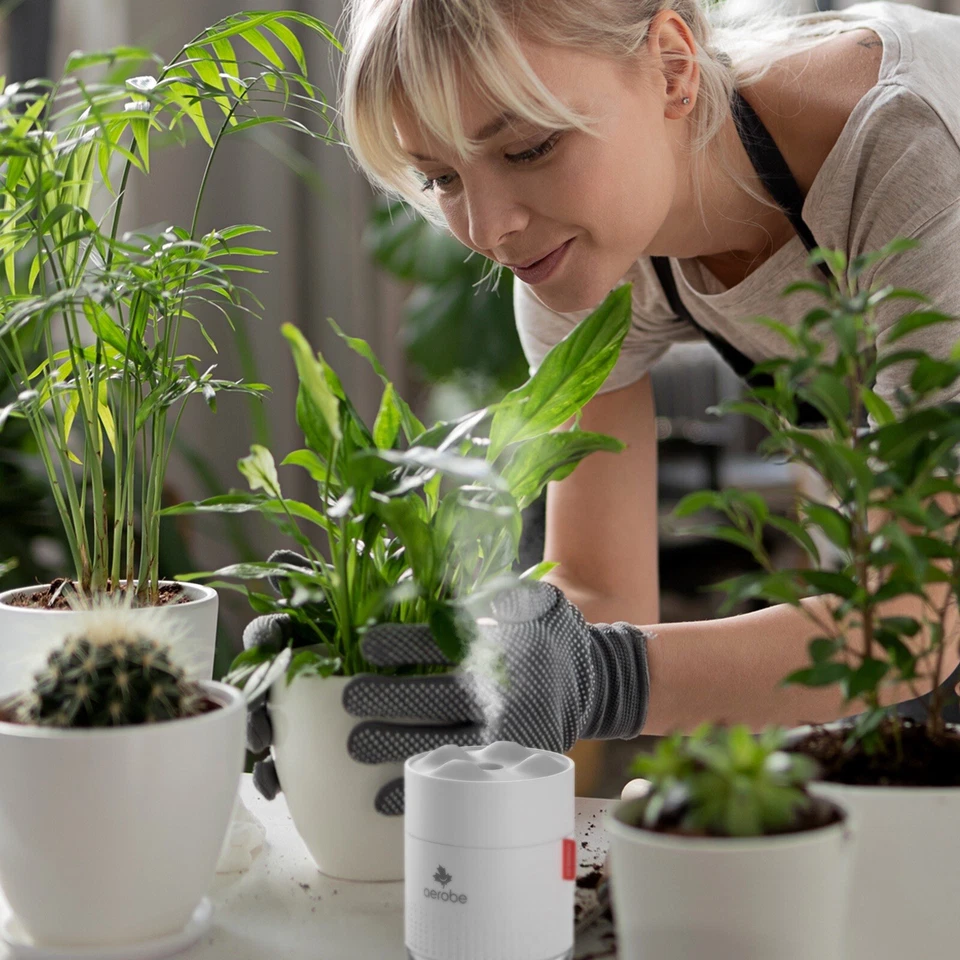 humidifier 500ML Cool Mist For Indoor Plants & Pets Helps To Take Breath Easy - Image 4 of 4