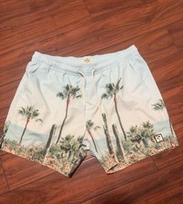 Marine Layer Men s Beach Casual Swim Sport Shorts Size M Tropical Stripe