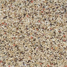 Higgins Vita Seed canary seed mix bird food diet 25lb