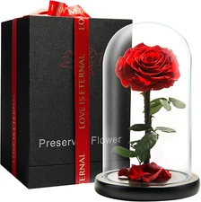 LOVAPPY Eternal Enchanted Forever Preserved Rose - Infinity Rose in Glass Dome -