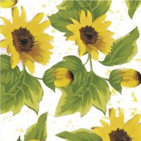 Maurer-rouleau Oilcloth Tablecloth 140cm X 20metres) Restaurants Touring Maurer-rouleau Oilcloth Tablecloth 140cm X 20metres) Restaurants Touring