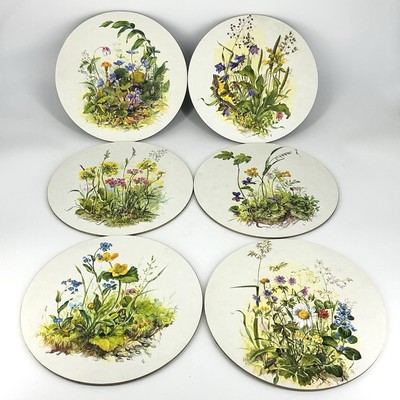 Vintage Lady Clare Hot Plates Trivets Floral Flowers Set Of 6 Cork Backed