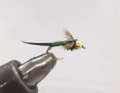 One Dozen (12) - Beadhead Copper John - Green - Nymph