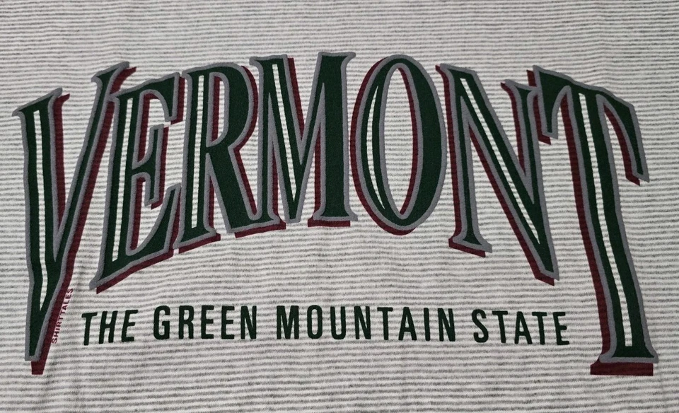 Camiseta De Colección Años 90 Vermont The Great Mountain State Gráfica Puntada Única XL Foto 2 de 4