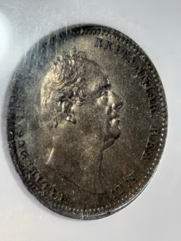 1836 Great Britain 1 Shilling Silver Coin Graded MS 64 by NGC - Image 3 of 4