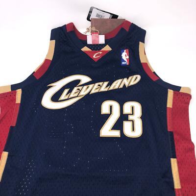 lebron james blue cavs jersey