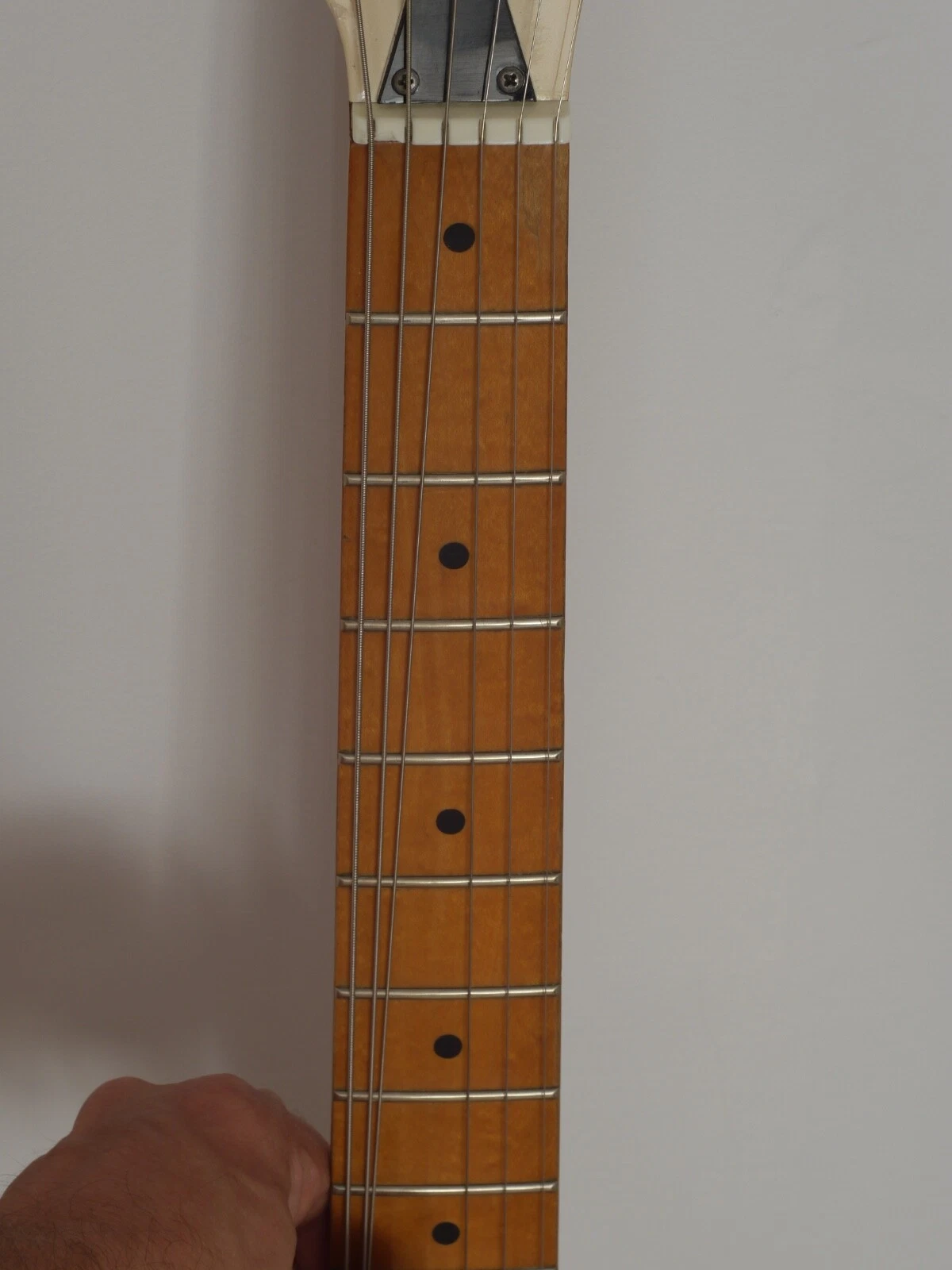 Picture 9 of 11