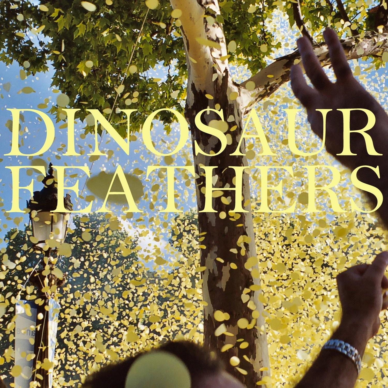 Dinosaur Feathers Whistle Tips (CD)