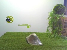 Clignotant Renault LAGUNA