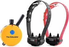 E-Collar Humane Dog Training Collar with Remote, 100 Safe Tapping Stimulation