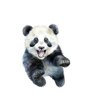XXL 18X18 cm Autoaufkleber Sticker Panda