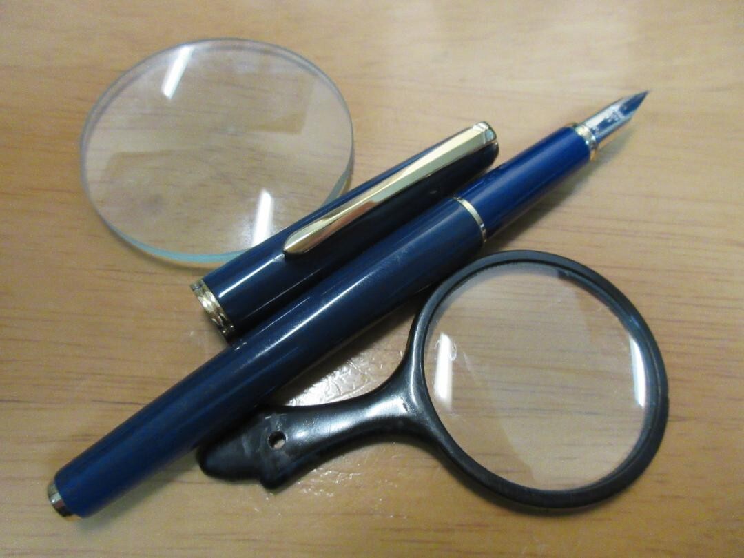 Pilot Deluxe Urushi 14K F Nib Lacquer Fountain Pen | eBay