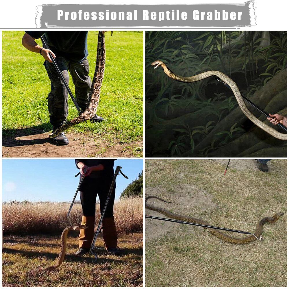 Gancio A Serpente Estensibile - In Acciaio Inox E Alluminio, Per Rettili E Serpenti, 66-134 Cm - Foto 3