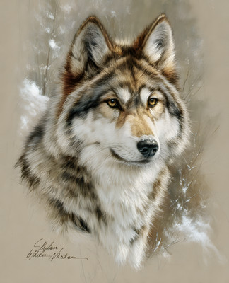 8x10 Cottagecore Storybook Snowy Wolf Portrait Art Print - 621247090