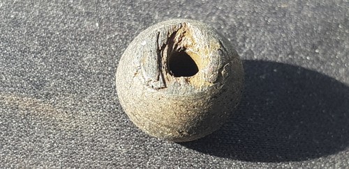 Beautiful CATTLE/DOMESTIC ANIMAL BONE Viking bead stunning quality lot L35q