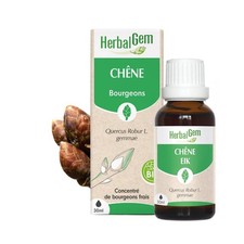 Bourgeon de Chêne Bio HerbalGem - Vitalité, tonus & énergie - 30 ml